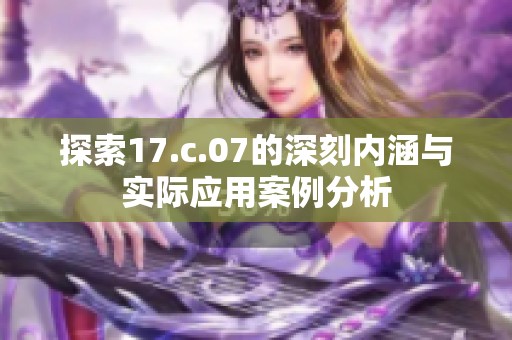 探索17.c.07的深刻内涵与实际应用案例分析