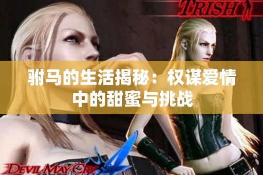 驸马的生活揭秘：权谋爱情中的甜蜜与挑战
