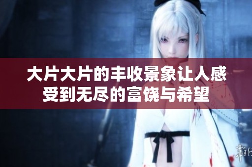大片大片的丰收景象让人感受到无尽的富饶与希望