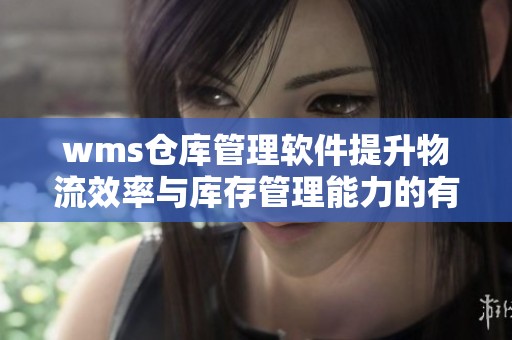 wms仓库管理软件提升物流效率与库存管理能力的有效工具