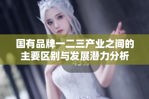 国有品牌一二三产业之间的主要区别与发展潜力分析
