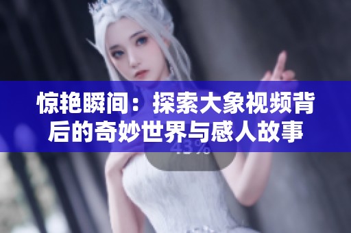 惊艳瞬间：探索大象视频背后的奇妙世界与感人故事