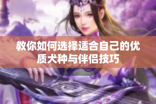 教你如何选择适合自己的优质犬种与伴侣技巧