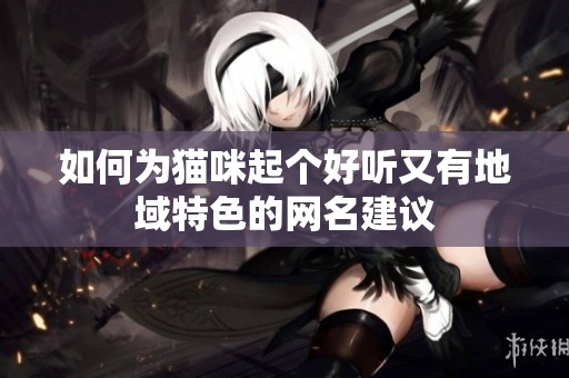如何为猫咪起个好听又有地域特色的网名建议