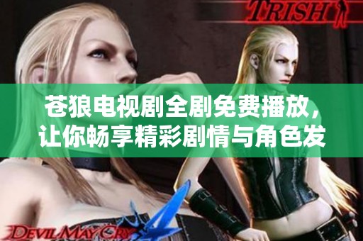 苍狼电视剧全剧免费播放，让你畅享精彩剧情与角色发展