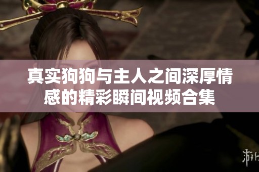 真实狗狗与主人之间深厚情感的精彩瞬间视频合集