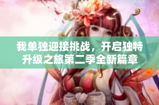 我单独迎接挑战，开启独特升级之旅第二季全新篇章