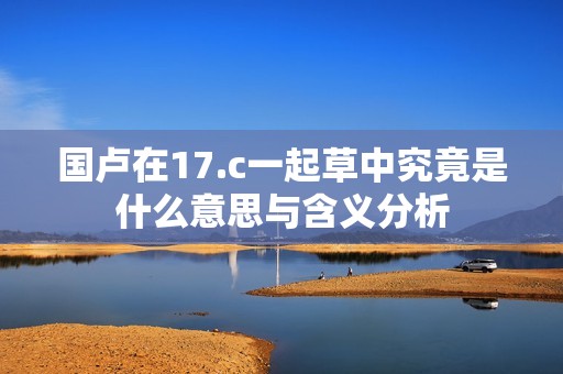 国卢在17.c一起草中究竟是什么意思与含义分析