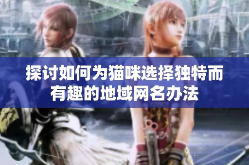 探讨如何为猫咪选择独特而有趣的地域网名办法