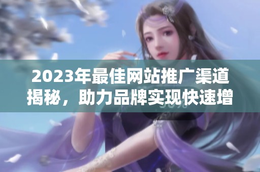 2023年最佳网站推广渠道揭秘，助力品牌实现快速增长
