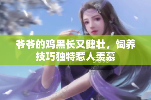 爷爷的鸡黑长又健壮，饲养技巧独特惹人羡慕