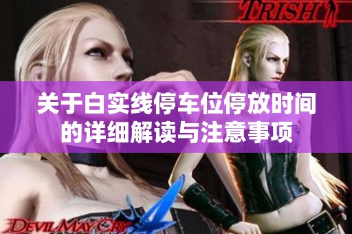 关于白实线停车位停放时间的详细解读与注意事项