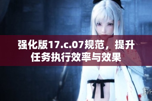强化版17.c.07规范，提升任务执行效率与效果