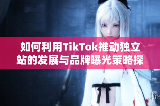 如何利用TikTok推动独立站的发展与品牌曝光策略探讨