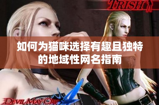 如何为猫咪选择有趣且独特的地域性网名指南