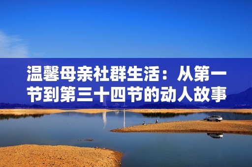 温馨母亲社群生活：从第一节到第三十四节的动人故事