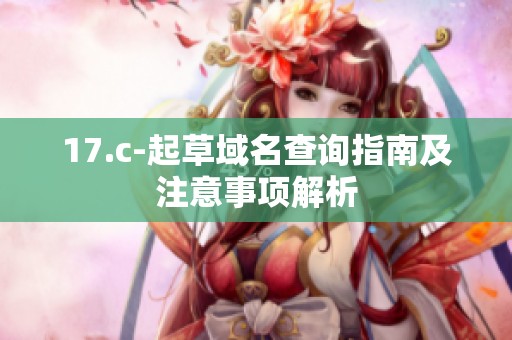 17.c-起草域名查询指南及注意事项解析