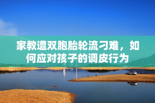 家教遭双胞胎轮流刁难，如何应对孩子的调皮行为