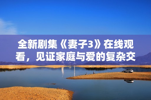全新剧集《妻子3》在线观看，见证家庭与爱的复杂交织故事