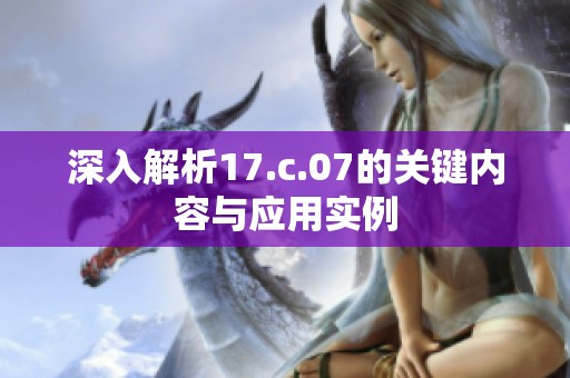 深入解析17.c.07的关键内容与应用实例