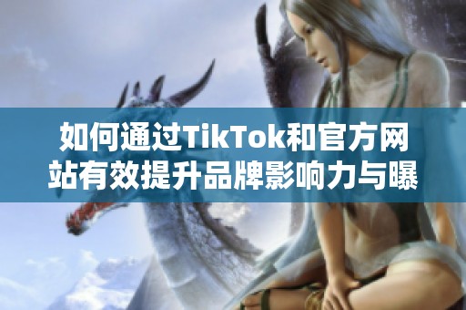 如何通过TikTok和官方网站有效提升品牌影响力与曝光率