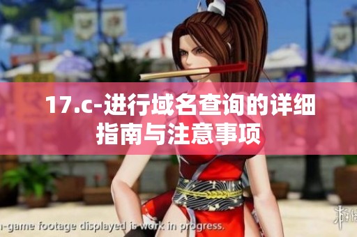 17.c-进行域名查询的详细指南与注意事项