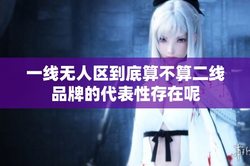 一线无人区到底算不算二线品牌的代表性存在呢