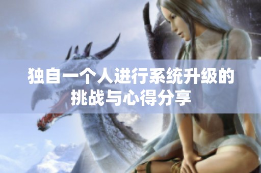 独自一个人进行系统升级的挑战与心得分享