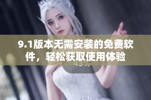 9.1版本无需安装的免费软件，轻松获取使用体验