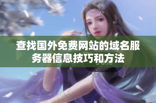 查找国外免费网站的域名服务器信息技巧和方法