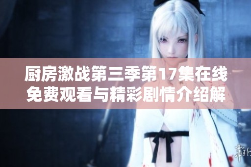 厨房激战第三季第17集在线免费观看与精彩剧情介绍解析