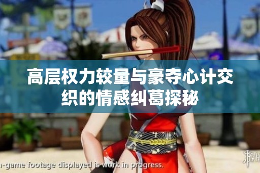 高层权力较量与豪夺心计交织的情感纠葛探秘