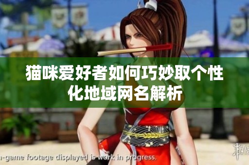 猫咪爱好者如何巧妙取个性化地域网名解析