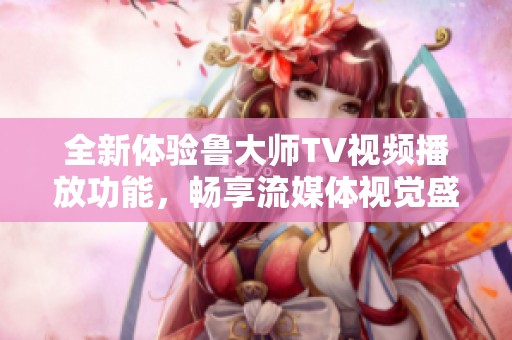全新体验鲁大师TV视频播放功能，畅享流媒体视觉盛宴