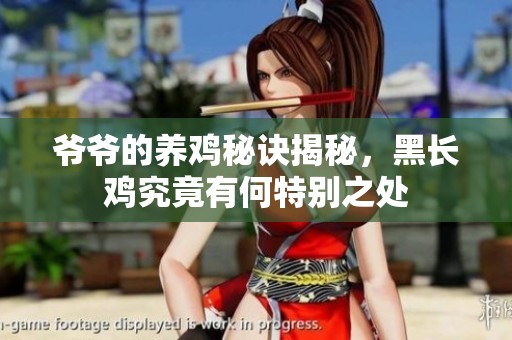 爷爷的养鸡秘诀揭秘，黑长鸡究竟有何特别之处