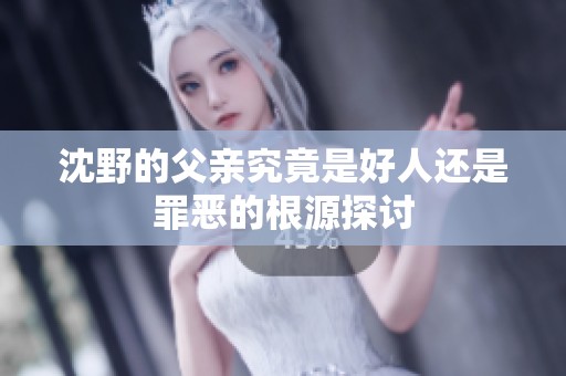 沈野的父亲究竟是好人还是罪恶的根源探讨
