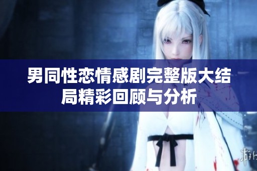 男同性恋情感剧完整版大结局精彩回顾与分析
